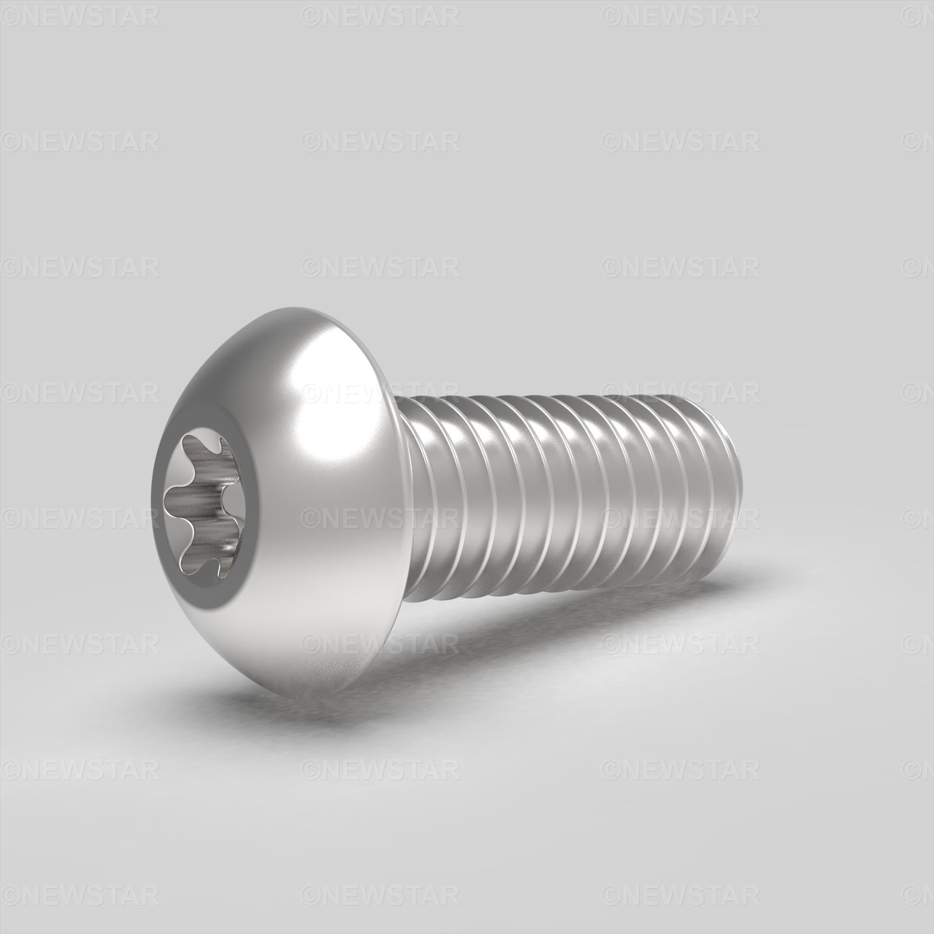 M2.5 X 8 Socket Button Sixlobe ISO 7380-1 A2 Stainless Steel