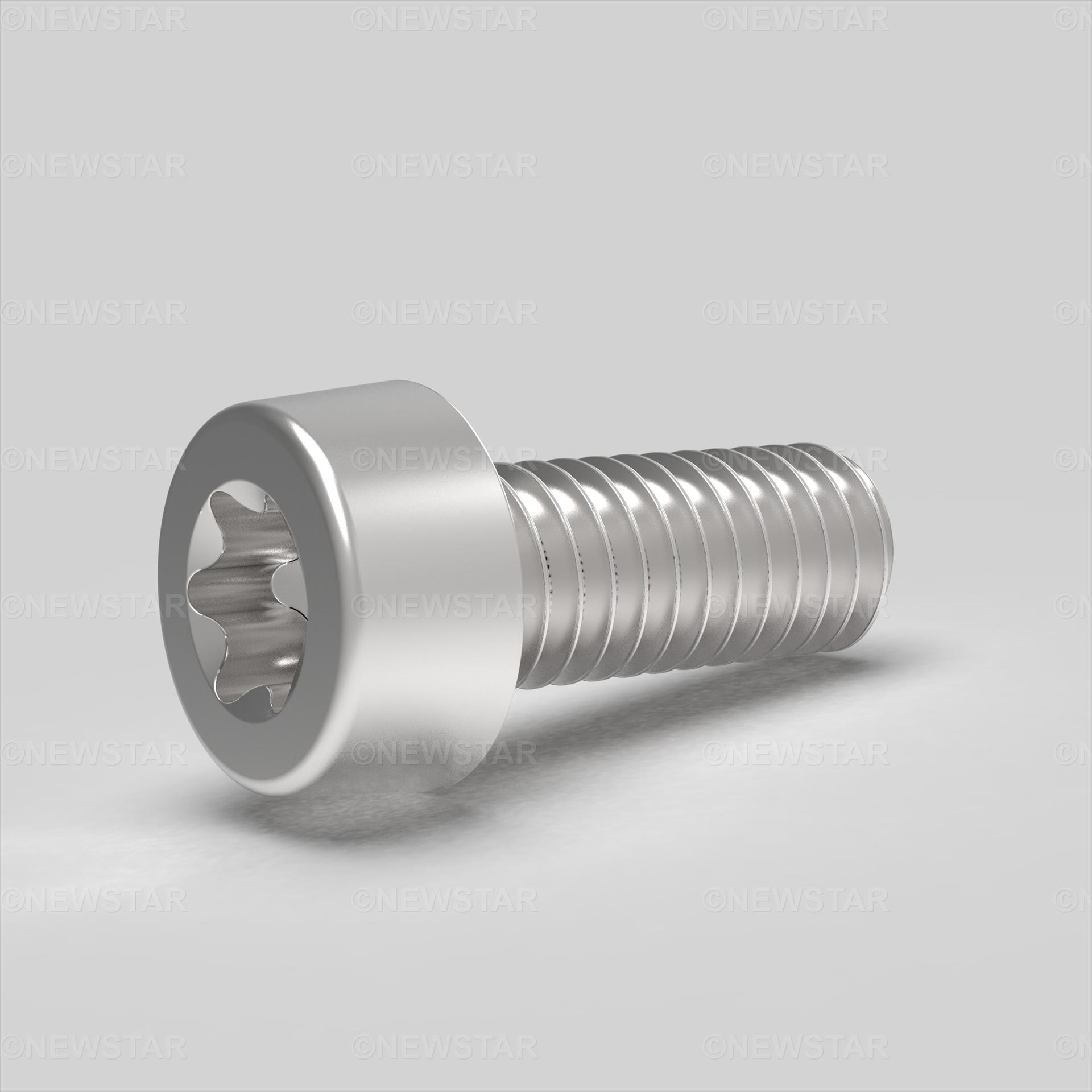 M2 X 6 Socket Cap Sixlobe (Low Head) ISO 14580 A2 Stainless Steel